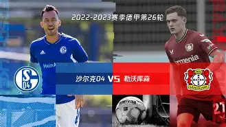 沙尔克遭遇连败，需紧急调整士气，战绩斐然的简单介绍