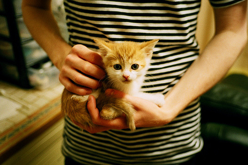 底特律寒风刺穿金州暖阳,马克西末节狂飙,活塞逆袭撕碎勇士光环